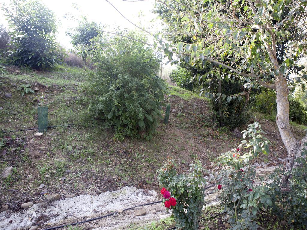 Casa Rural Vega El Dorado San Pablo Buitenkant foto